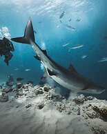 Suffix Retreat - Stay, Dive & Explore Fuvahmulah