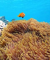 Suffix Retreat - Stay, Dive & Explore Fuvahmulah