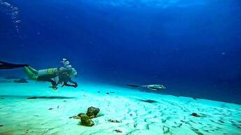 Suffix Retreat - Stay, Dive & Explore Fuvahmulah