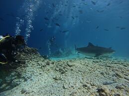 Suffix Retreat - Stay, Dive & Explore Fuvahmulah