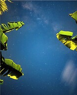 Suffix Retreat - Stay, Dive & Explore Fuvahmulah