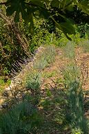 Domaine de la Cascade Parfumée
