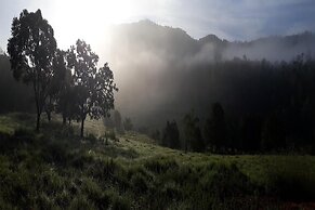 Kadumane Hills Resorts