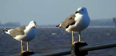 Stylish 1-bed Studio in Humberston, Cleethorpes