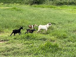 Baanmae Resort Thachana Suratthani