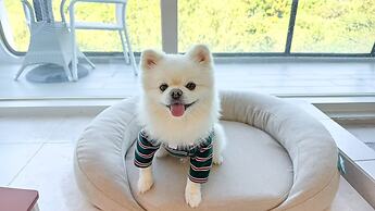 Gyeongju Lineview Poolvilla