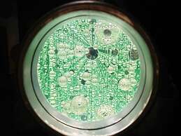 Grids Premium Hotel Kumamoto