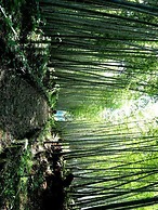 Grids Premium Hotel Kumamoto