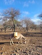 Maasai Eco Boma Lodge