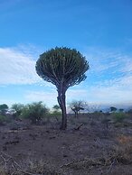 Maasai Eco Boma Lodge