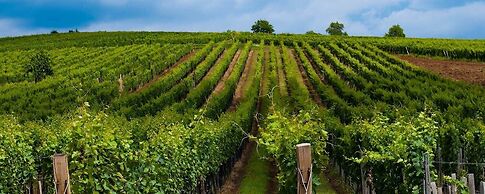 The Oaks Victorian Inn