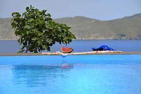 Villa Princess 1 4BD with Pool Panormos