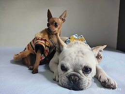 Pousada Mirante do Cesar