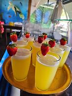 Green House Casa de Playa Tortuguero