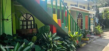 Green House Casa de Playa Tortuguero