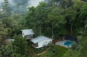 Wild Poetry Munnar