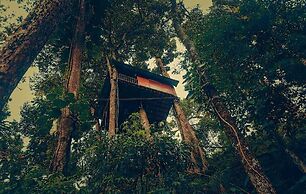 Ela Ecoland Munnar - A Nature Retreat