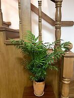 Family Guest House & Hostel