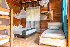 Magic Greeen Tayrona