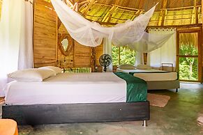 Magic Greeen Tayrona