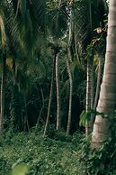 Magic Greeen Tayrona