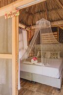 Magic Greeen Tayrona