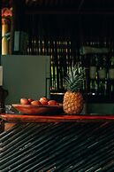 Magic Greeen Tayrona