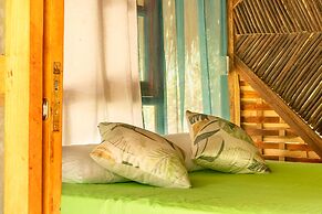 Magic Greeen Tayrona