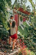 Magic Greeen Tayrona