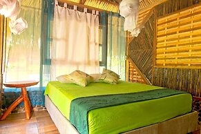 Magic Greeen Tayrona