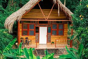 Magic Greeen Tayrona