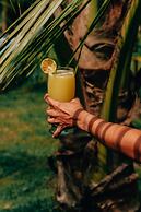 Magic Greeen Tayrona