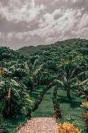 Magic Greeen Tayrona