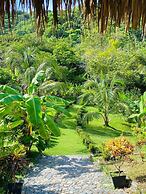 Magic Greeen Tayrona