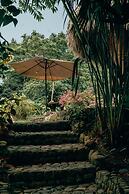 Magic Greeen Tayrona