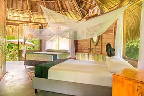 Magic Greeen Tayrona