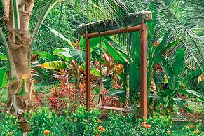 Magic Greeen Tayrona