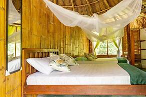 Magic Greeen Tayrona