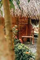 Magic Greeen Tayrona