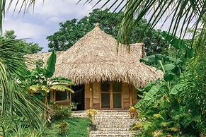 Magic Greeen Tayrona