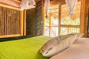 Magic Greeen Tayrona