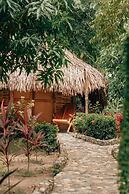 Magic Greeen Tayrona