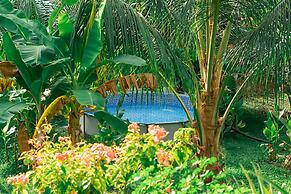 Magic Greeen Tayrona