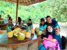 Magic Greeen Tayrona
