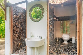 Magic Greeen Tayrona