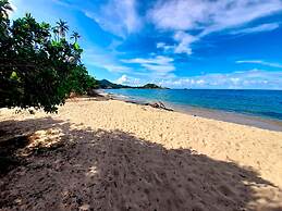 Magic Greeen Tayrona