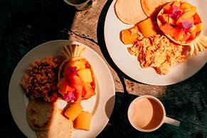 Magic Greeen Tayrona