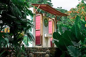 Magic Greeen Tayrona