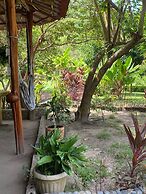 Magic Greeen Tayrona