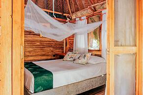 Magic Greeen Tayrona